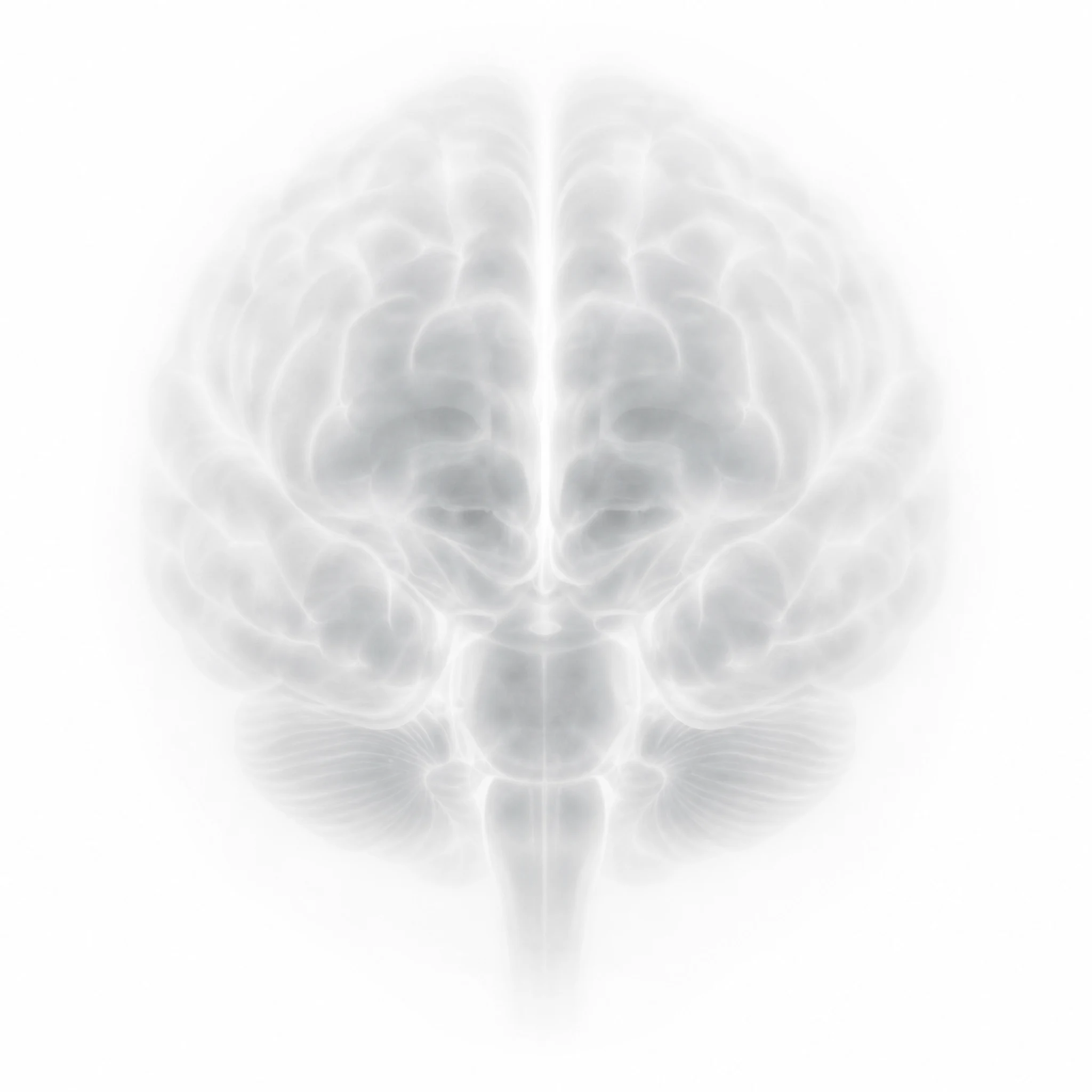An anatomical human brain